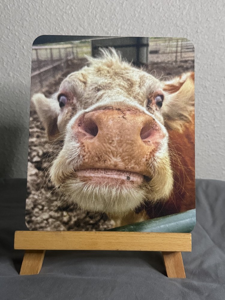 Cow Mouse Pad