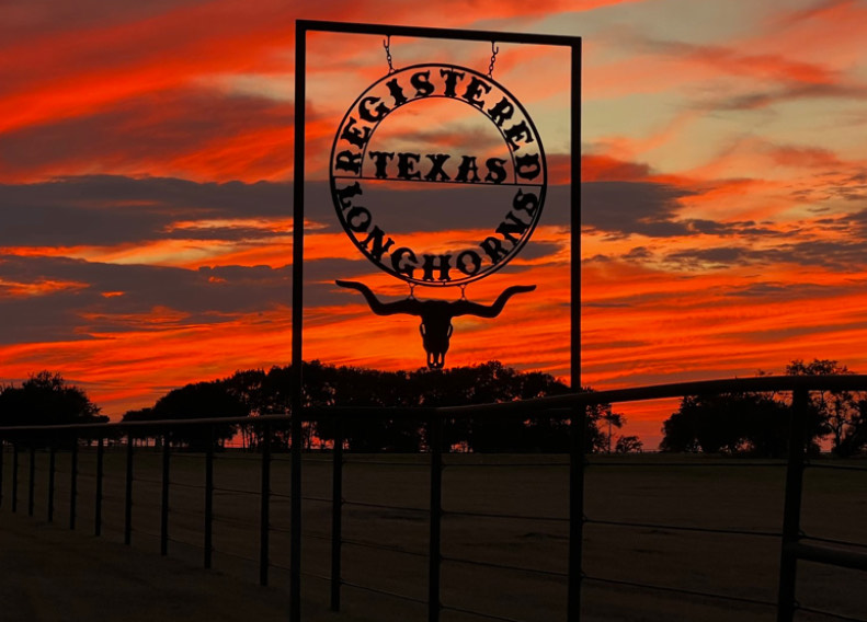 Sunset Canvas Print